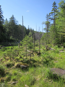 Appalachian Trail 