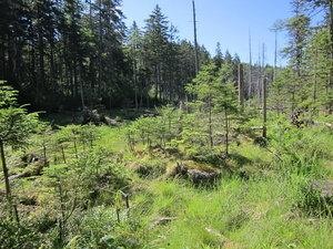 Appalachian Trail 