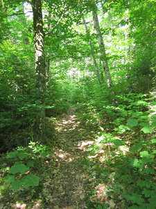 Appalachian Trail 