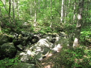 Appalachian Trail 