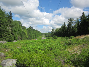 Appalachian Trail 