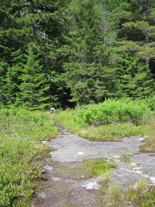 Appalachian Trail 