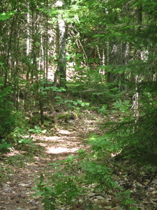 Appalachian Trail 