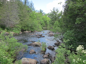 Appalachian Trail Baker Stream.  I lost a sock here. 