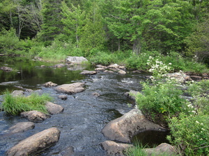 Appalachian Trail Baker Stream