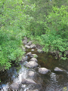 Appalachian Trail Sign at north departure from Moxie Pond Road