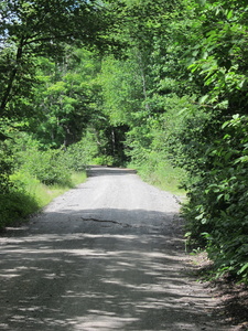 Appalachian Trail Moxie Pond Road & AT