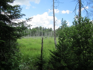 Appalachian Trail 