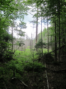 Appalachian Trail 