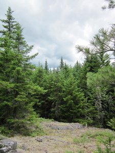 Appalachian Trail 