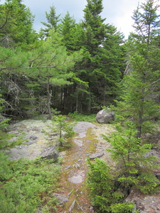 Appalachian Trail 