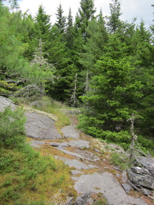 Appalachian Trail 