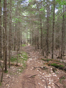 Appalachian Trail 