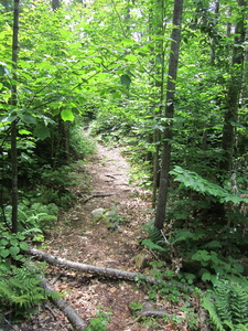 Appalachian Trail 