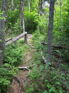 Appalachian Trail 