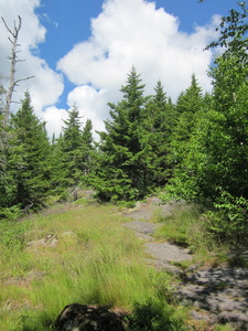 Appalachian Trail 