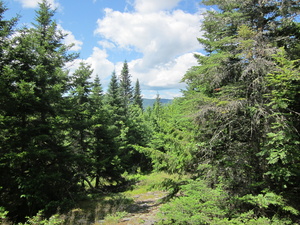 Appalachian Trail 