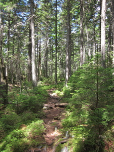 Appalachian Trail 