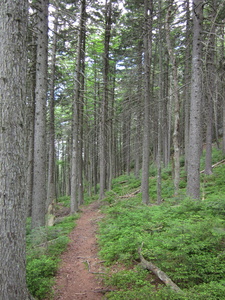 Appalachian Trail 