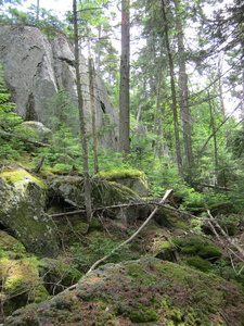 Appalachian Trail 