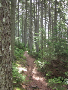 Appalachian Trail 