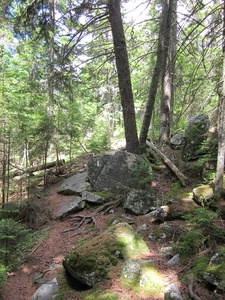 Appalachian Trail 