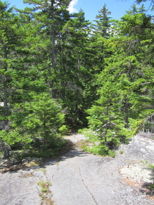 Appalachian Trail 