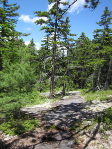 Appalachian Trail 