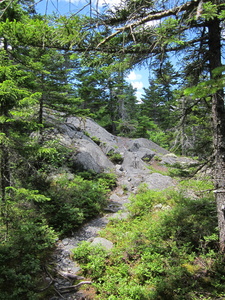 Appalachian Trail 