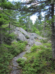 Appalachian Trail 