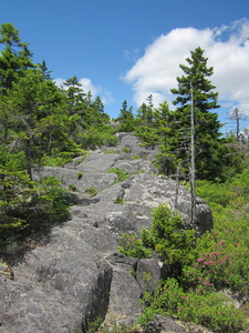 Appalachian Trail 