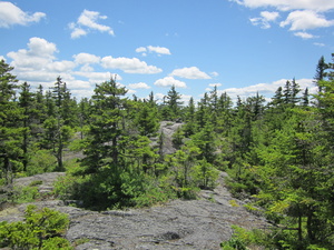 Appalachian Trail 