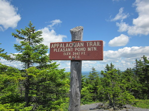 Appalachian Trail Pleasant Pond Mountain. 2477(map) or 2447(sign) feet