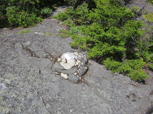 Appalachian Trail Clse to straight down