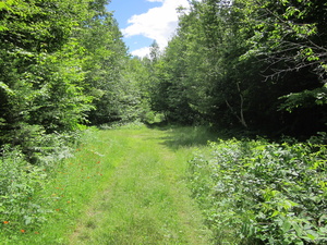 Appalachian Trail 