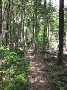 Appalachian Trail 