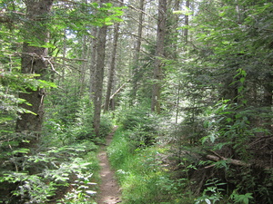 Appalachian Trail 