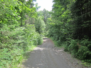 Appalachian Trail Hangtown Road