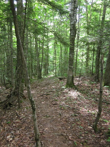 Appalachian Trail 