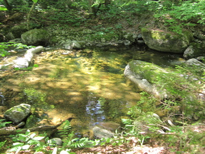 Appalachian Trail 