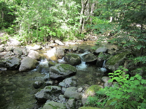 Appalachian Trail 