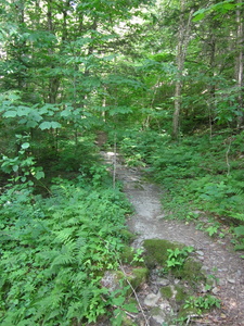 Appalachian Trail 