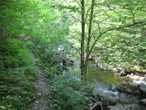 Appalachian Trail 