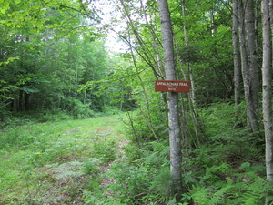 Appalachian Trail 