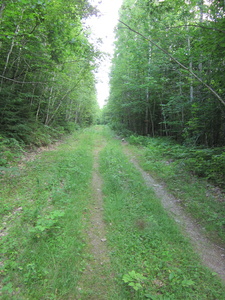 Appalachian Trail 