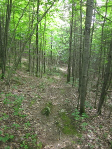 Appalachian Trail 