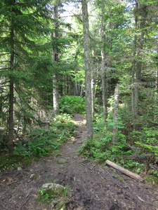 Appalachian Trail 