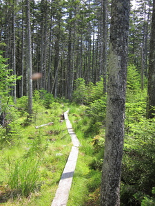 Appalachian Trail 