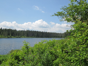 Appalachian Trail Long Pond