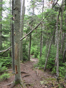 Appalachian Trail 